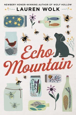 Echo Mountain by Lauren Wolk, a review